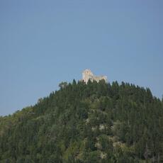 IMG_2867