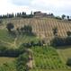 POGGIO DEL VESCOVO DI SPOLETO