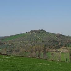 IMG_0595
