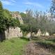 POGGIOLO DI SPOLETO