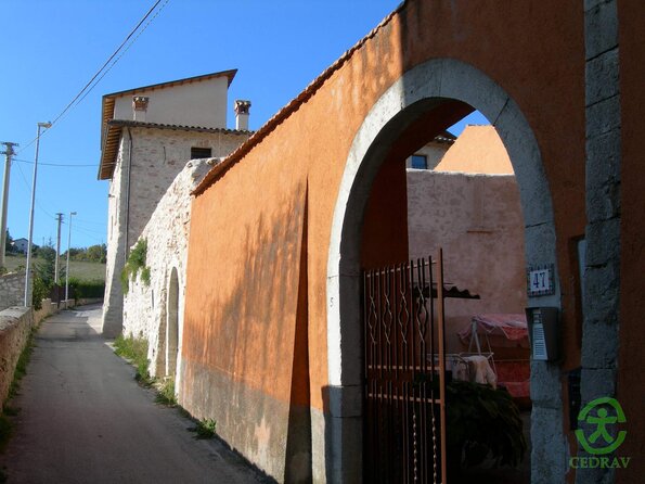 DSCN1893