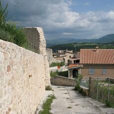 IMG_1961