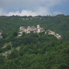 IMG_2530