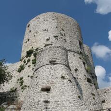 IMG_2540