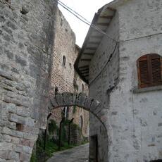 DSCN2355