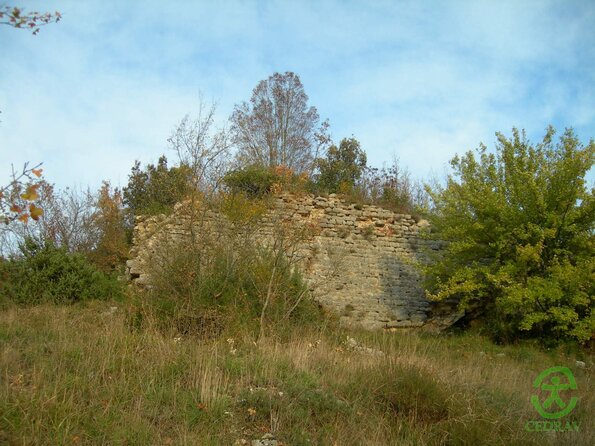 DSCN2380
