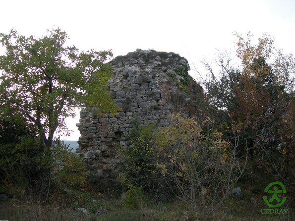DSCN2382