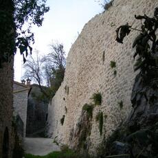 DSCN2390