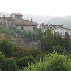 IMG_7530