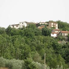 IMG_7532