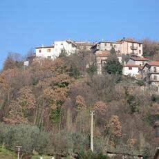 IMG_8085