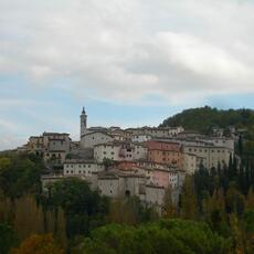 DSCN2089