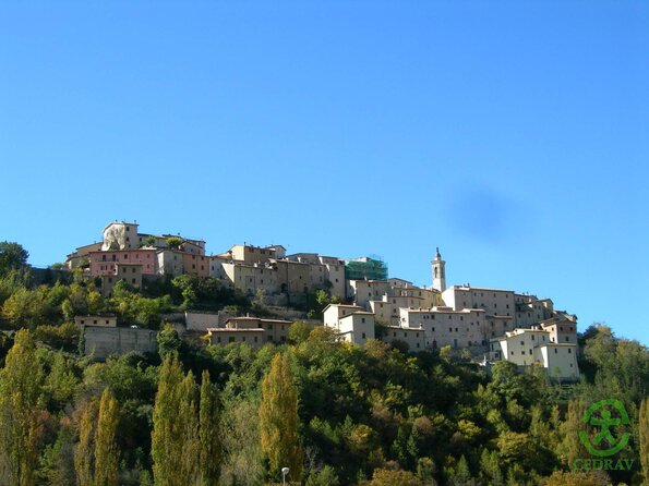 DSCN2164