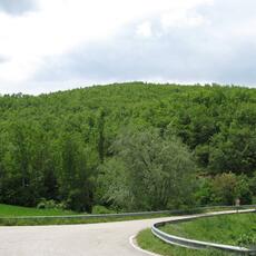 IMG_6672