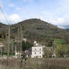 IMG_0557