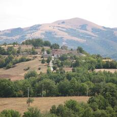 IMG_3690