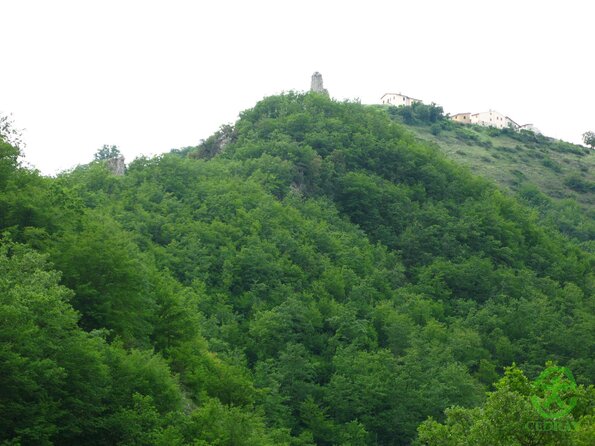 IMG_1757