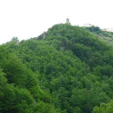 IMG_1757