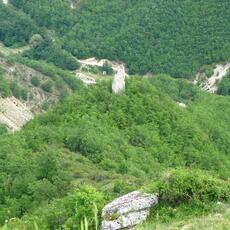 IMG_1759