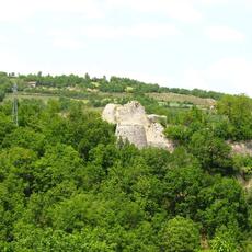 IMG_1929