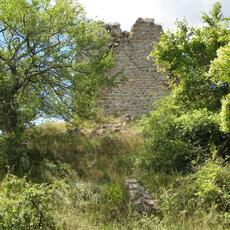 IMG_1433