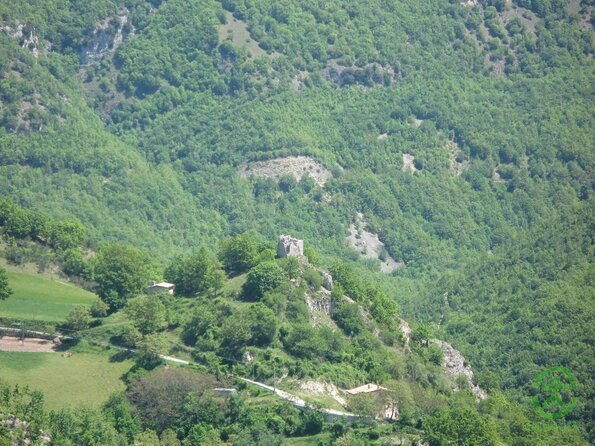 IMG_1678