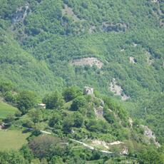 IMG_1678