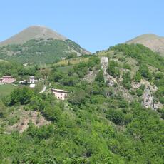 IMG_1686