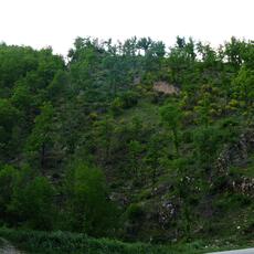 IMG_1972