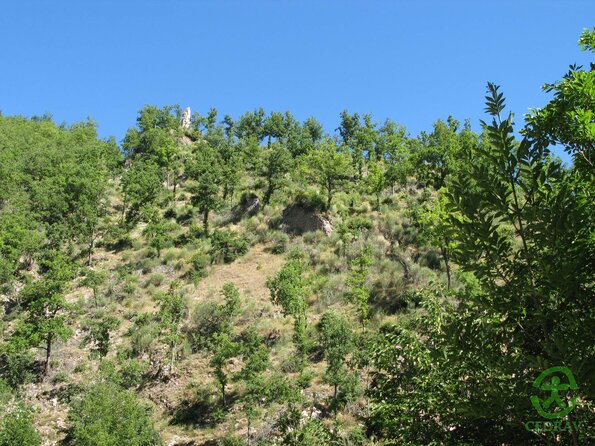 IMG_2790