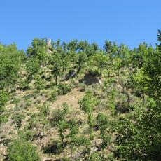 IMG_2790