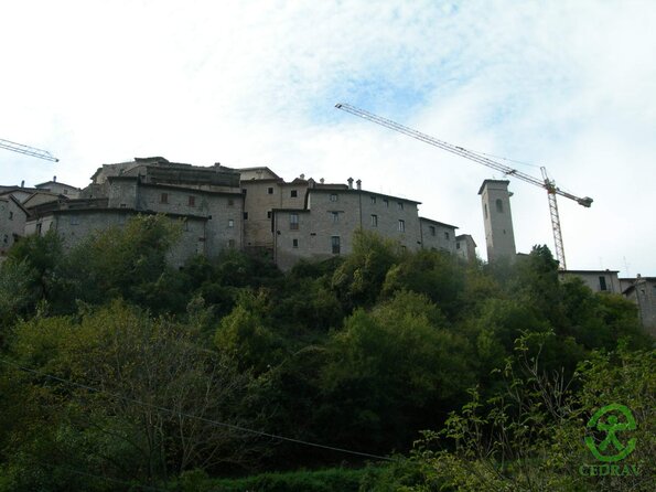 DSCN2058