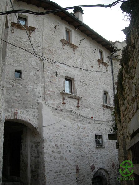 DSCN2083