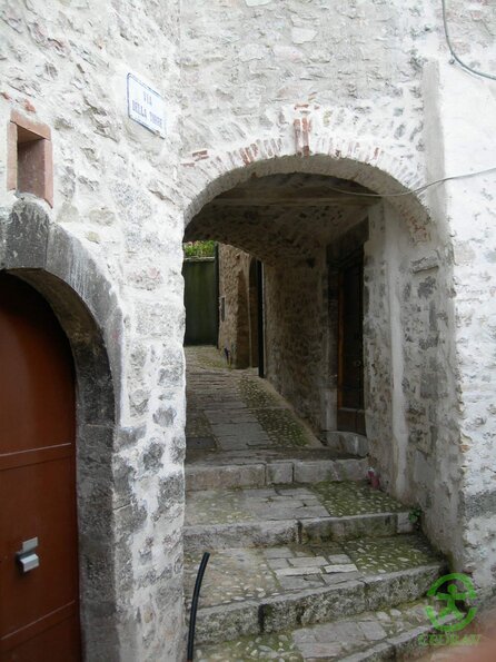 DSCN2084