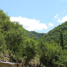 IMG_2723