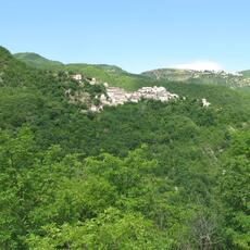 IMG_9104