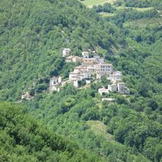 IMG_9109