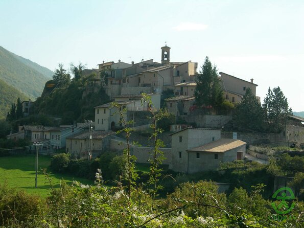 DSCN1881