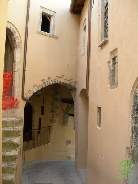 DSCN1884