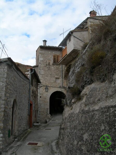 DSCN2659