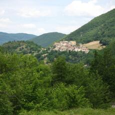 IMG_9111
