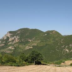IMG_7708