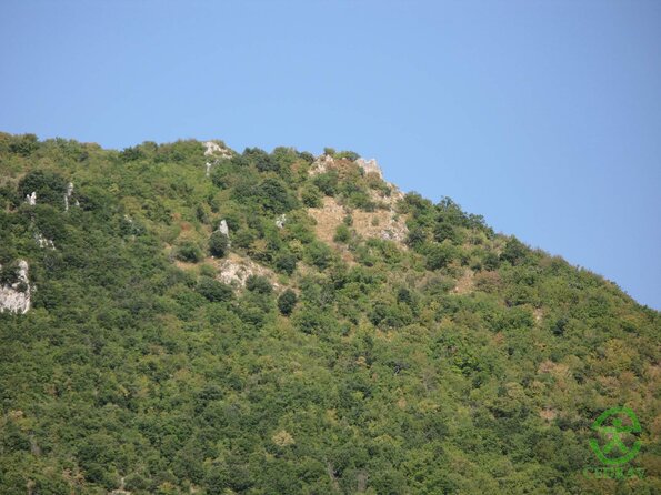 IMG_7712