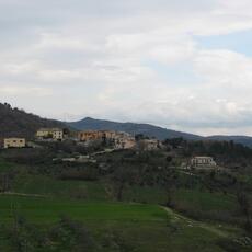 IMG_0506