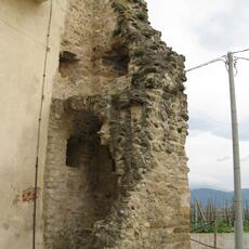 IMG_0546