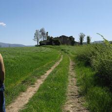 IMG_6104