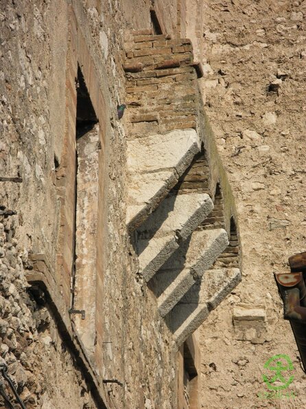 IMG_0007