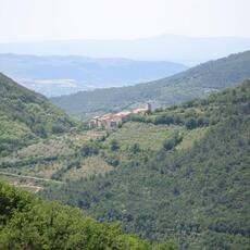 IMG_1883