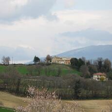 IMG_0538