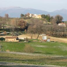 IMG_8701